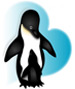 penguins