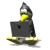 penguins